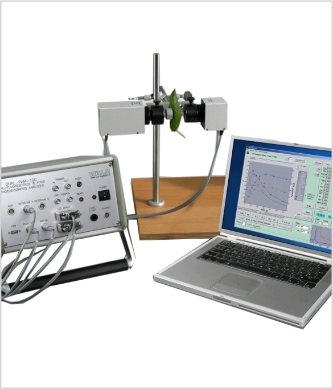 德国walz双通道调制叶绿素荧光仪dual-pam-100